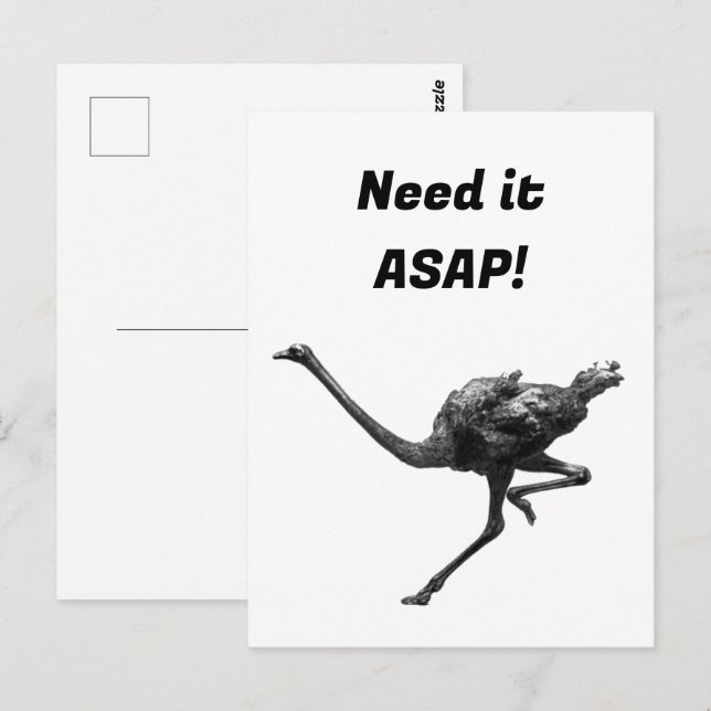 Running Ostrich Ink Sketch, Cool Athlete Bird Art Postcard (Front/Back)