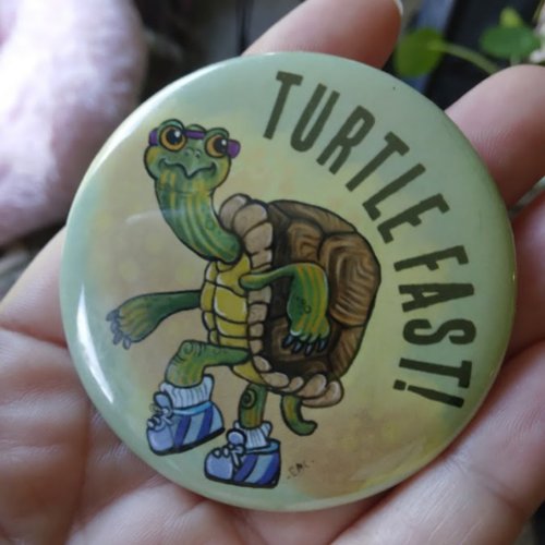Running Painted Turtle Button