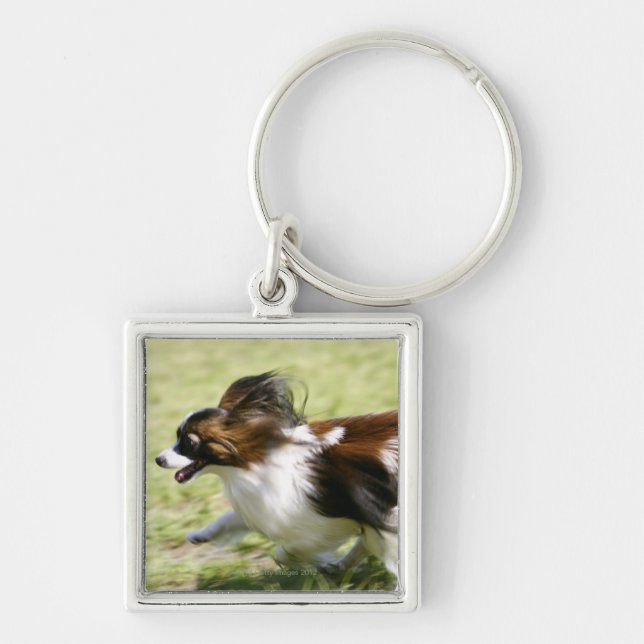 Running Papillon Keychain (Front)
