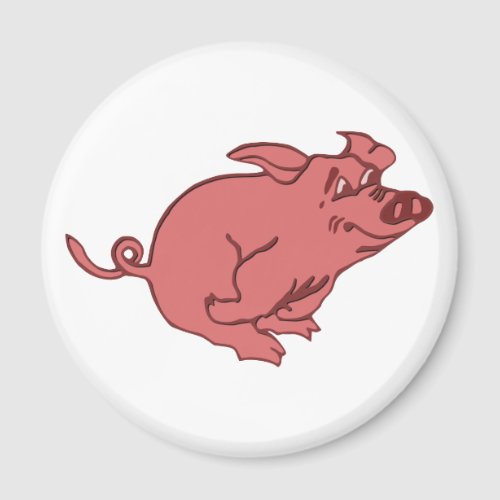 running pig magnet