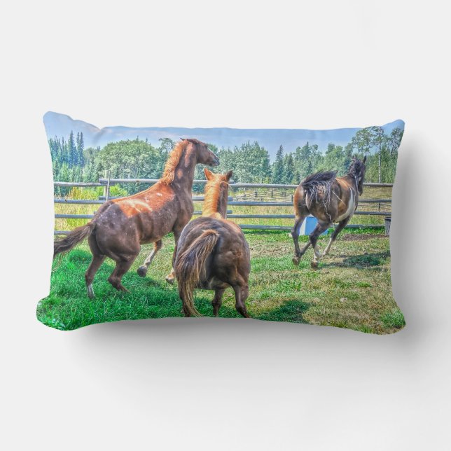 Running Pinto Paint Gelding & Chestnut Stallions Lumbar Pillow (Front)
