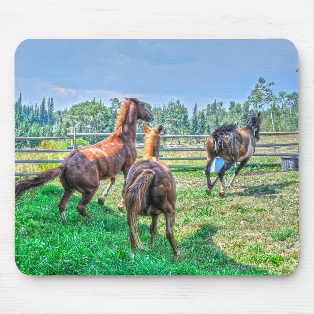 Running Pinto Paint Gelding & Chestnut Stallions Mouse Pad (Front)