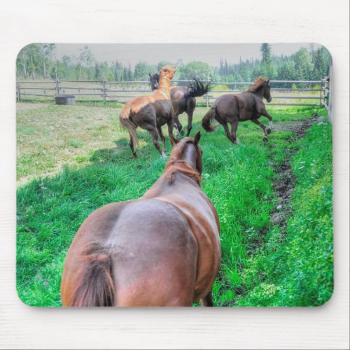 Running Pinto Paint Gelding  Chestnut Stallions Mouse Pad