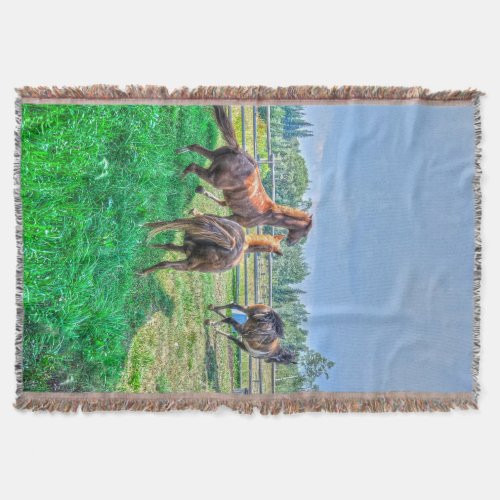 Running Pinto Paint Gelding  Chestnut Stallions Throw Blanket