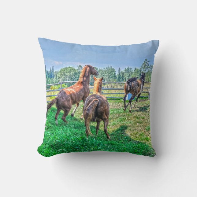 Running Pinto Paint Gelding & Chestnut Stallions Throw Pillow (Front)