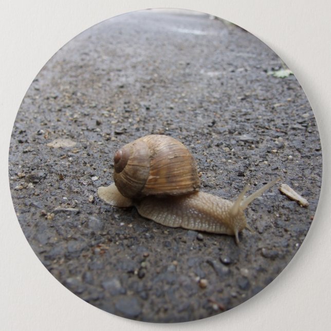 Running Snail Pinback Button (Front)