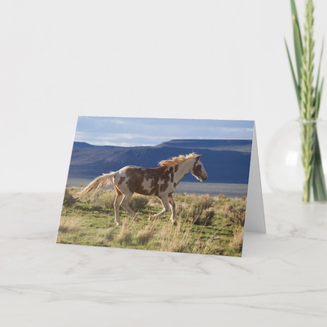 Running Stallion, Steens Mountains, Oregon Card (Front)