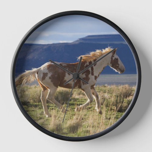 Running Stallion Steens Mountains Oregon Clock