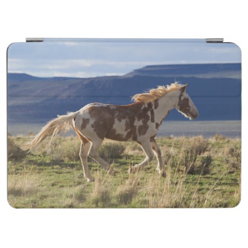 Running Stallion Steens Mountains Oregon iPad Air Cover