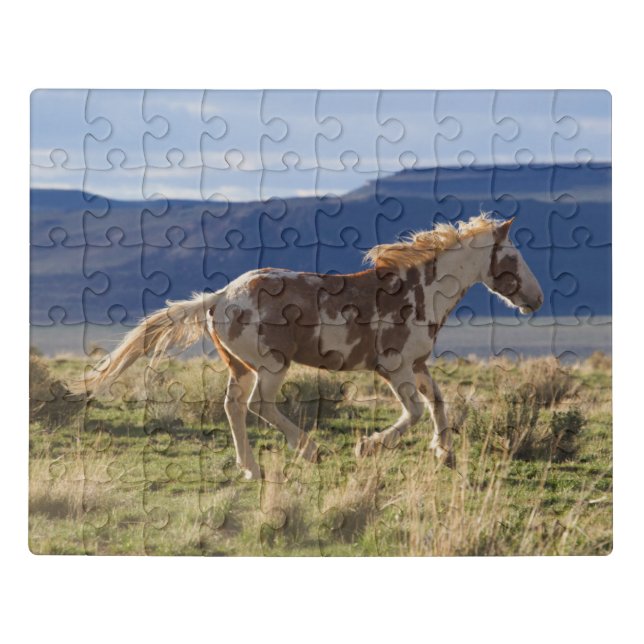Running Stallion, Steens Mountains, Oregon Jigsaw Puzzle (Puzzle Horizontal)