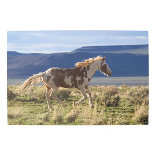 Running Stallion Steens Mountains Oregon Metal Print
