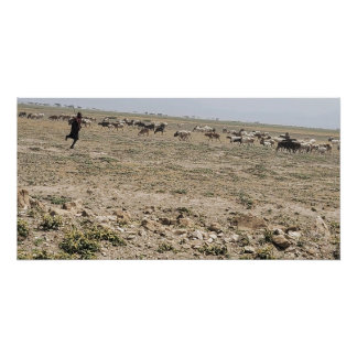 Running the Serengeti Poster