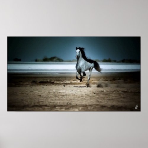 Running White Horse On Beach Poster