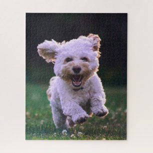 Running White Poodle Cute Dog Jigsaw Puzzle
