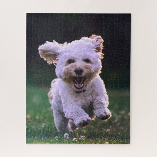 Running White Poodle Cute Dog Jigsaw Puzzle
