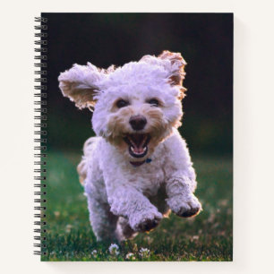 Running White Poodle Cute Dog Notebook