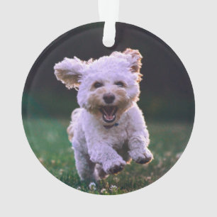 Running White Poodle Cute Dog Ornament
