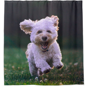 Running White Poodle Cute Dog Shower Curtain