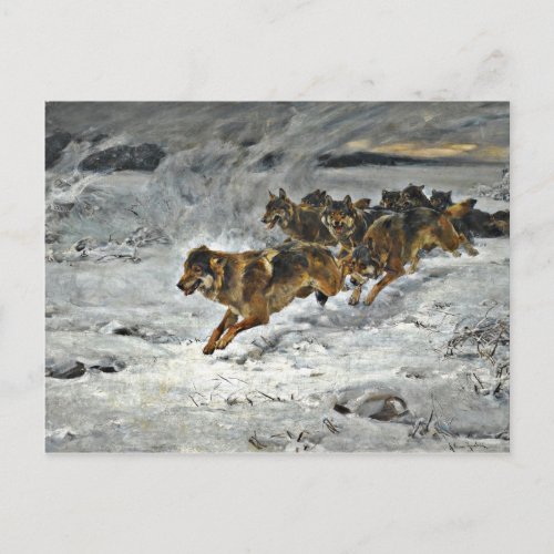 Running Wolf Pack Postcard