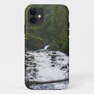 Runoff from Bridal Veil Falls, OR iPhone 11 Case