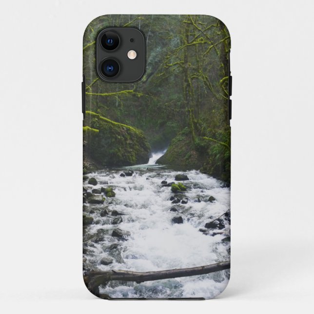 Runoff from Bridal Veil Falls, OR Case-Mate iPhone Case (Back)