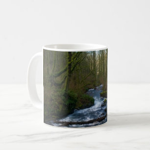 Runoff from Bridal Veil Falls, OR Coffee Mug