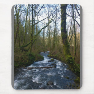 Runoff from Bridal Veil Falls, OR Mouse Pad
