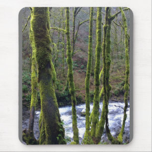 Runoff from Bridal Veil Falls, OR Mouse Pad