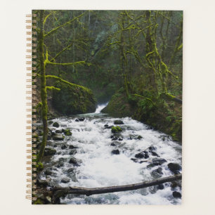 Runoff from Bridal Veil Falls, OR Planner
