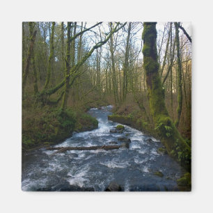 Runoff from Bridal Veil Falls, Oregon Magnet