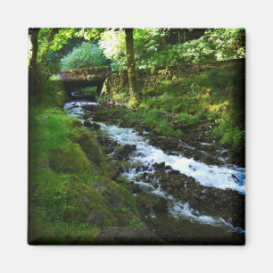Runoff from Wahkeena Falls, OR Magnet