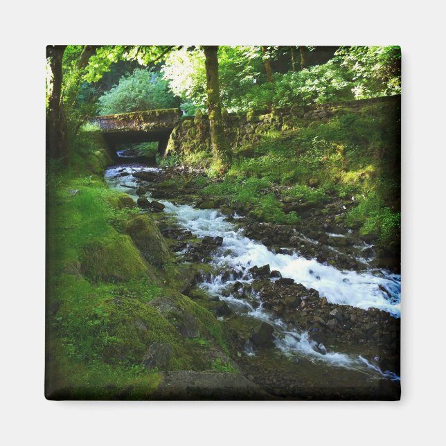 Runoff from Wahkeena Falls, Oregon Magnet (Front)