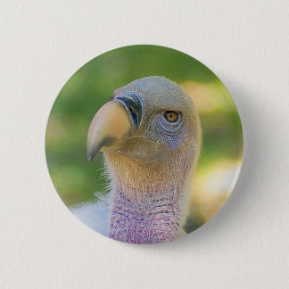 Rupell's Griffon Vulture Button