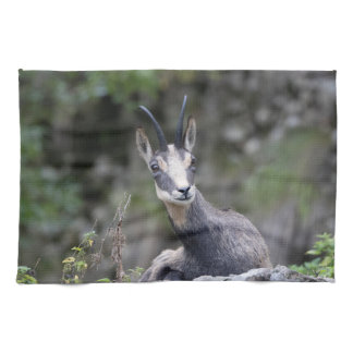 Rupicapra rupicapra kitchen towel