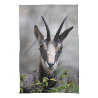 Rupicapra rupicapra kitchen towel