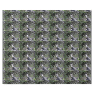 Rupicapra rupicapra wrapping paper