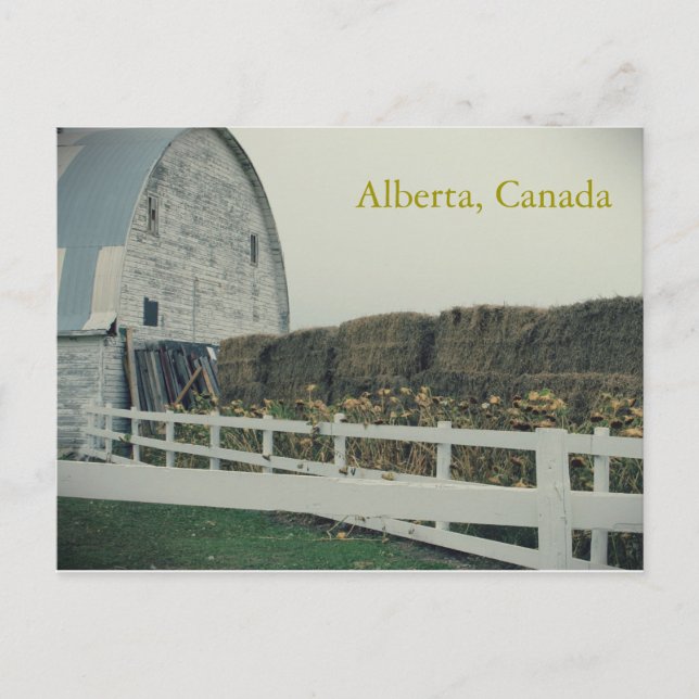 Rural Alberta Postcard (Front)