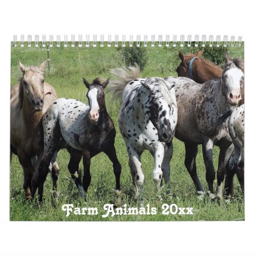 Rural America  Farm Animals Calendar