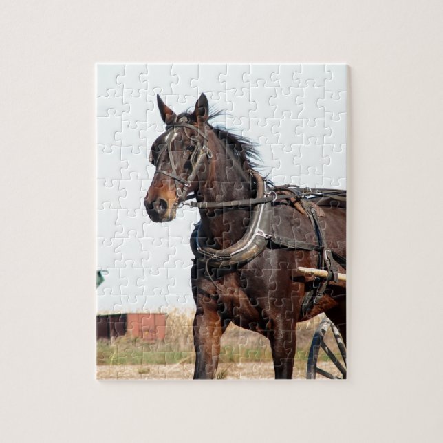 Rural Amish Horse and Buggy Jigsaw Puzzle (Vertical)
