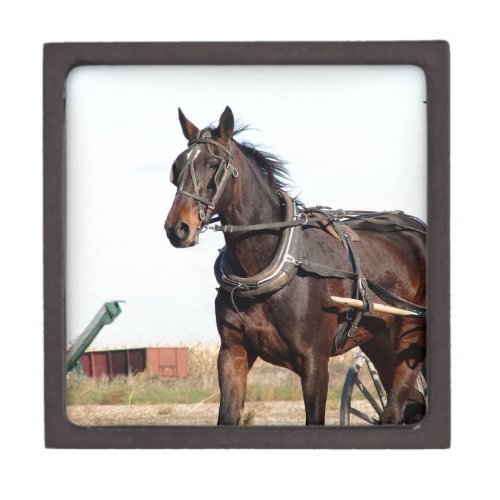 Rural Amish Horse and Buggy Keepsake Box