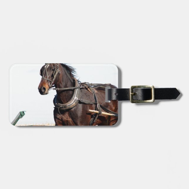 Rural Amish Horse and Buggy Luggage Tag (Front Horizontal)