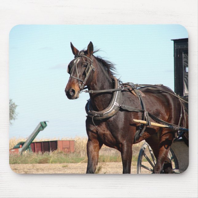 Rural Amish Horse and Buggy Mouse Pad (Front)
