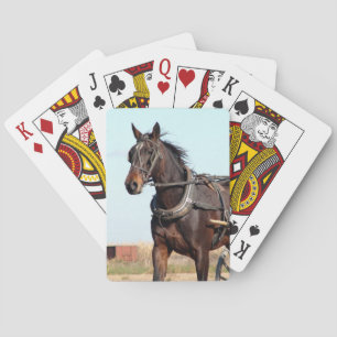 Rural Amish Horse and Buggy Poker Cards
