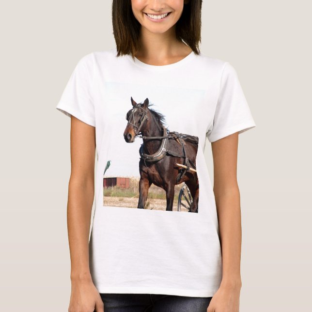 Rural Amish Horse and Buggy T-Shirt (Front)