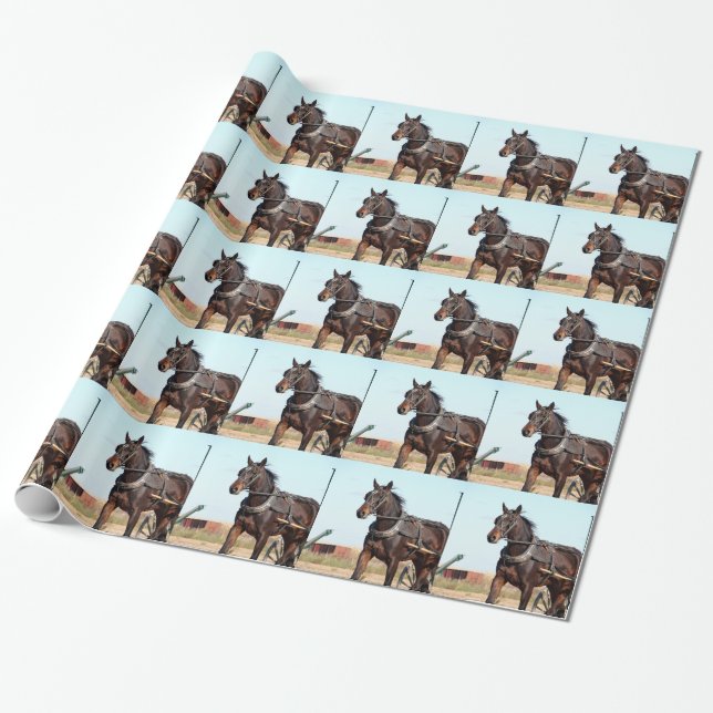 Rural Amish Horse and Buggy Wrapping Paper (Unrolled)