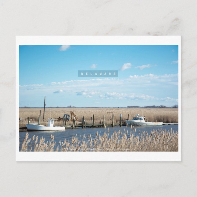 Rural and Wild Delaware. Postcard (Front)