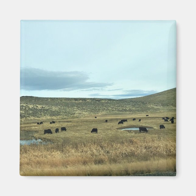 Rural Baker County, Oregon Magnet (Front)