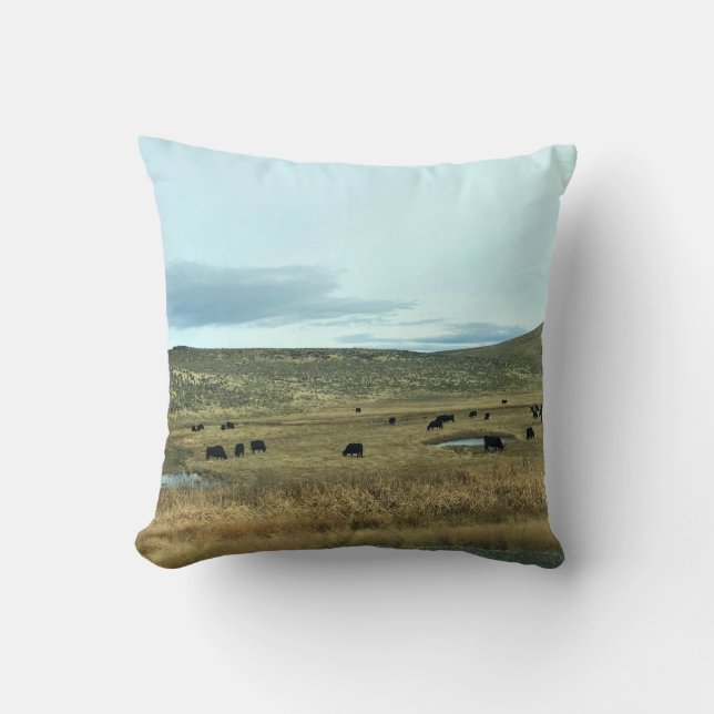 Rural Baker County, Oregon Throw Pillow (Front)