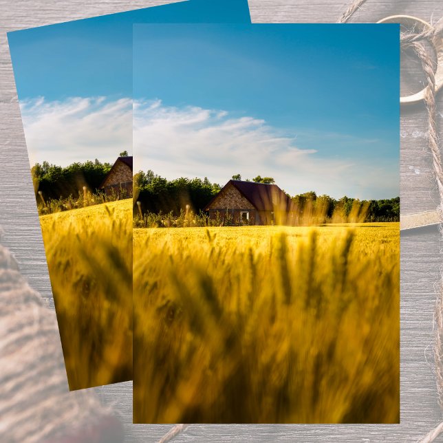 Rural Barn in a Shimmering Gold Wheatfield Tissue Paper (Creator Uploaded)