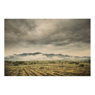 Rural Crop Fields Under Cloudy Sky Wood Wall Art